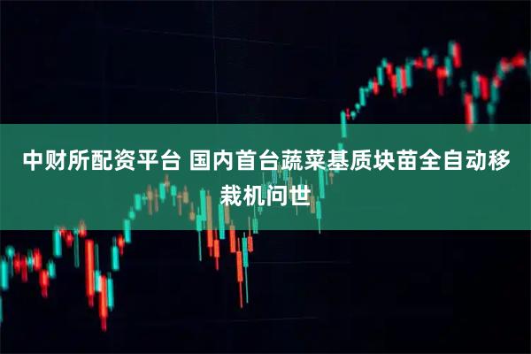 中财所配资平台 国内首台蔬菜基质块苗全自动移栽机问世