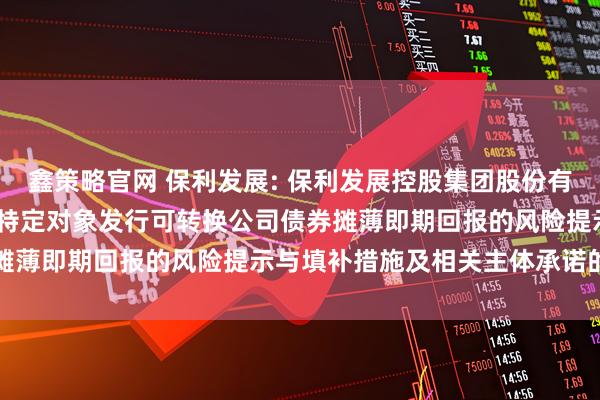 鑫策略官网 保利发展: 保利发展控股集团股份有限公司关于2025年度向特定对象发行可转换公司债券摊薄即期回报的风险提示与填补措施及相关主体承诺的公告