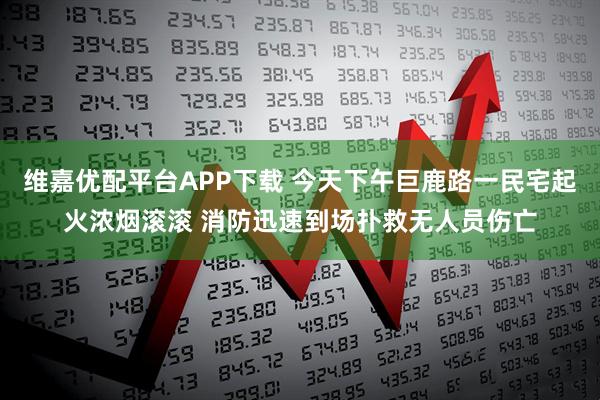 维嘉优配平台APP下载 今天下午巨鹿路一民宅起火浓烟滚滚 消防迅速到场扑救无人员伤亡