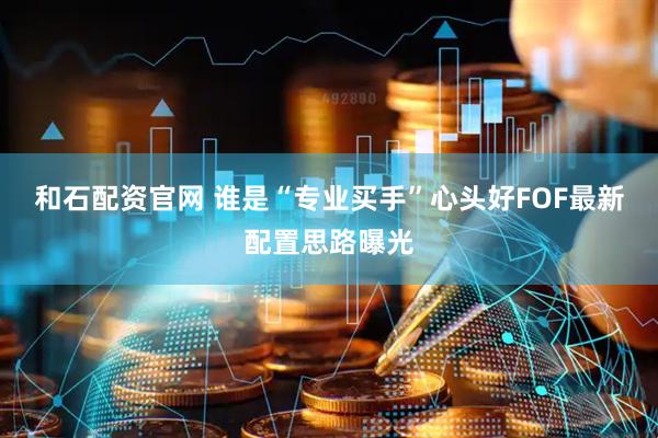 和石配资官网 谁是“专业买手”心头好FOF最新配置思路曝光
