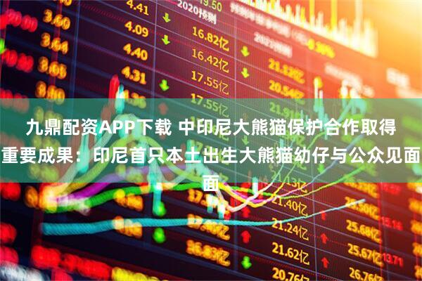 九鼎配资APP下载 中印尼大熊猫保护合作取得重要成果:印尼首只本土出生大熊猫幼仔与公众见面
